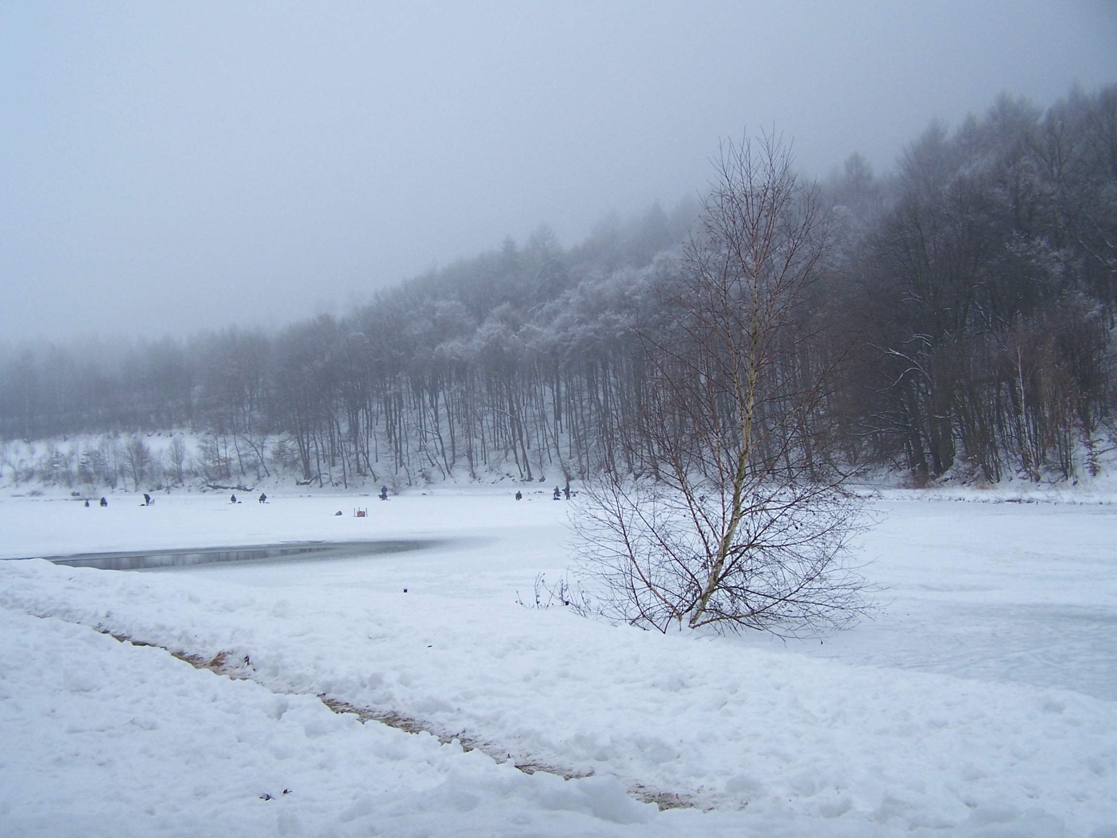  Zimní scenérie - rybník pod ledem